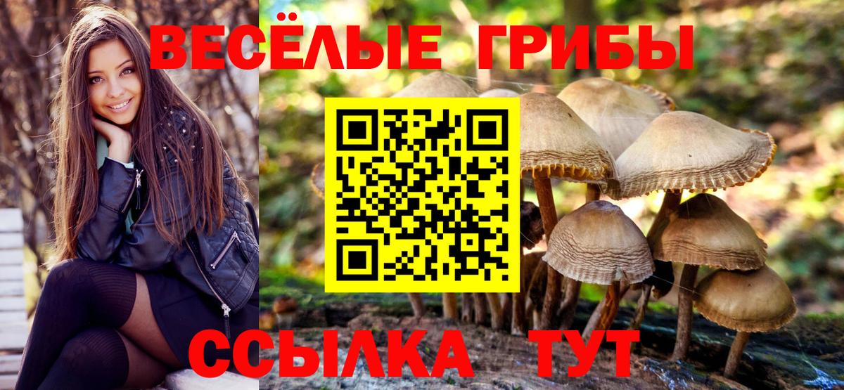 Нововоронеж  Галлюциногенные грибы GOLDEN TEACHER  Вход с VPN 