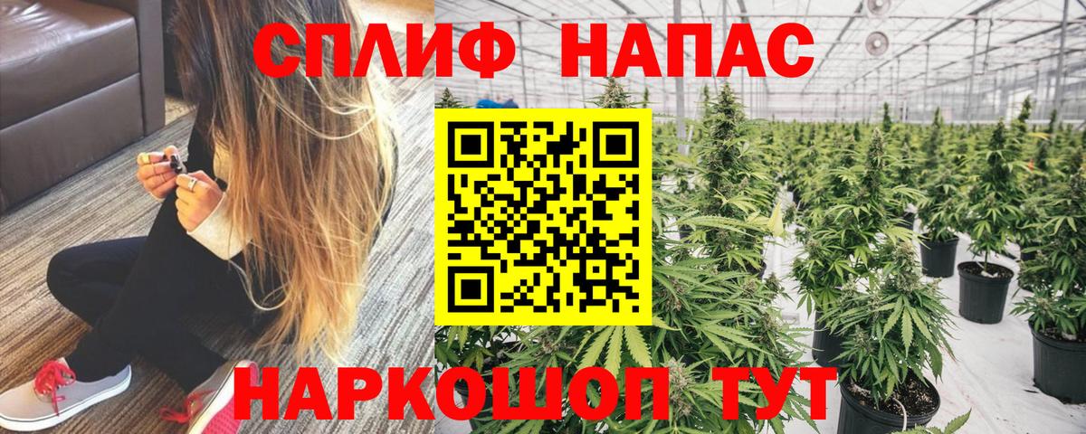 Канабис Ganja  Канабис SATIVA & INDICA  Бошки Шишки сатива  Нововоронеж  Вход с VPN 